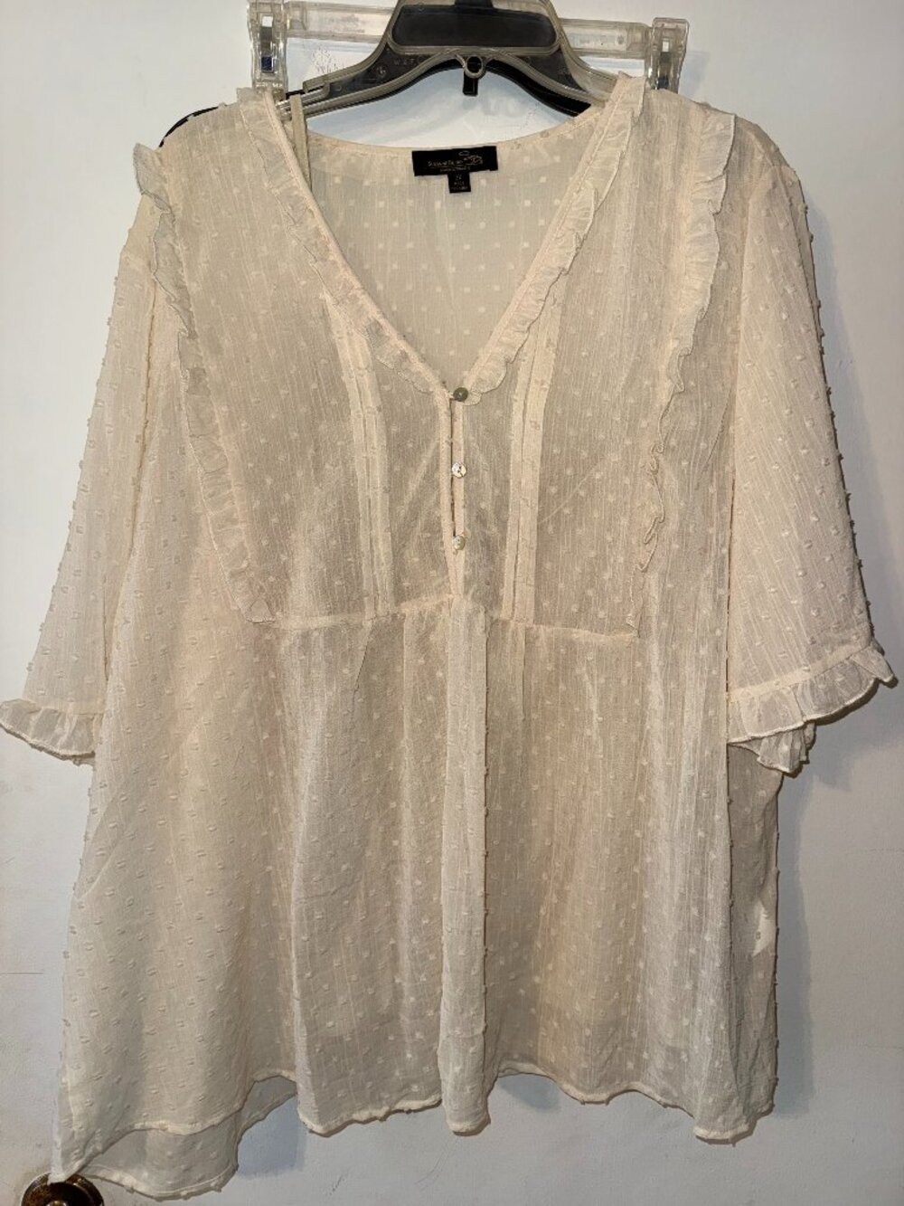 Suzanne Betro Swiss Dot Blouse 3X